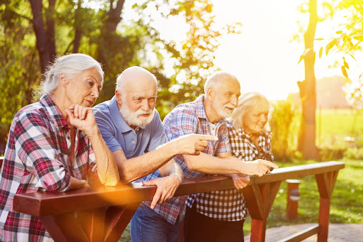 Seniors enjoy a scenic outdoor view while chatting by a railing. Medicare Advantage fosters wellness and social engagement for a fulfilling senior lifestyle.